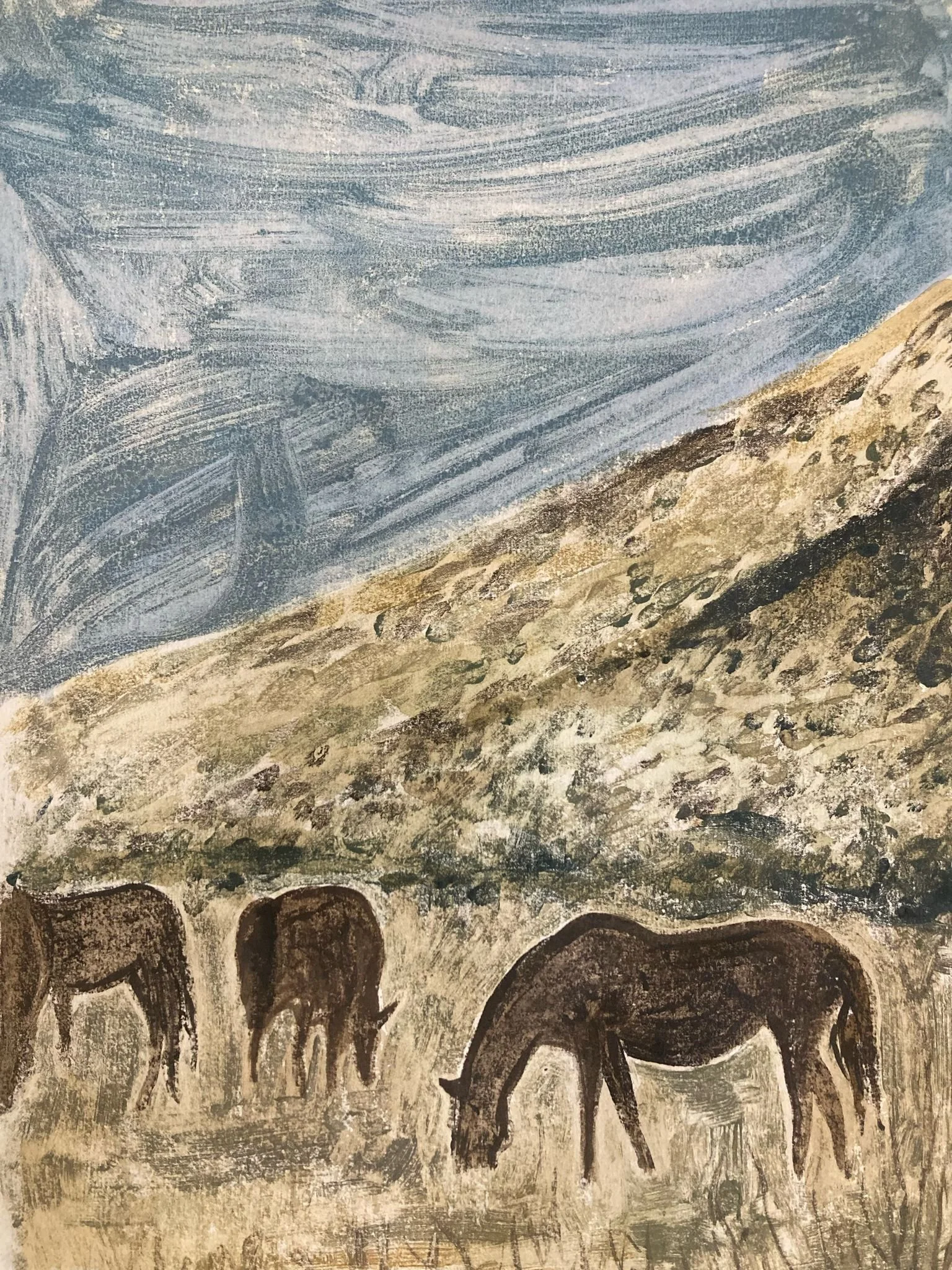 Washoe Lake, January