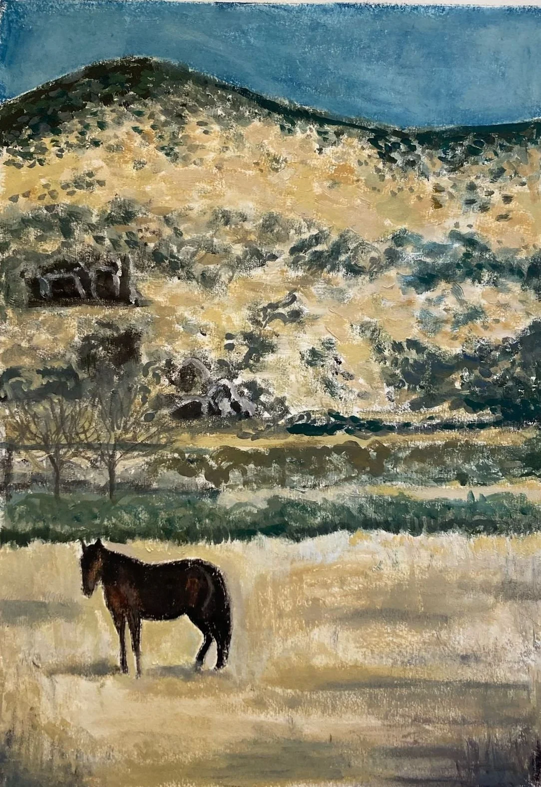 Washoe Horse