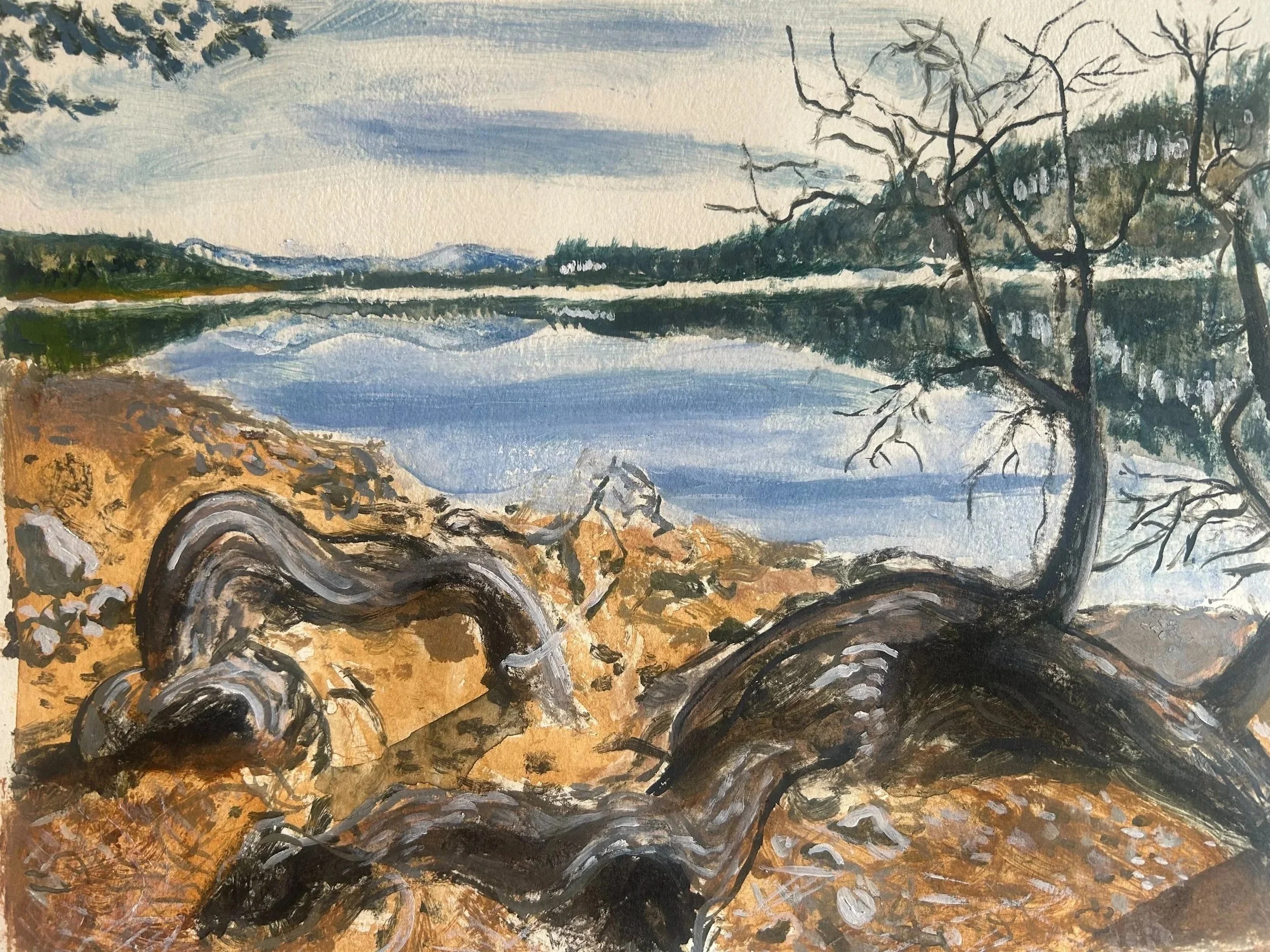 Donner Lake Reflections