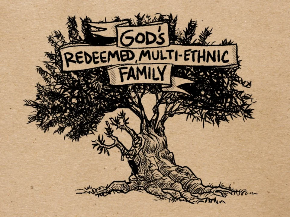 Romans #22: God Is Still Working (Romans 11:1-36)