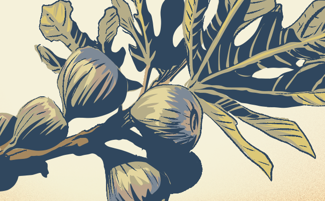 Luke #47: Bad Things and Hopeful Things Happen (Luke 13:1-9)