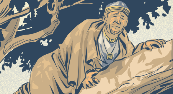 Luke #64: Grace For A Tree Hugger (Luke 19:1-10)