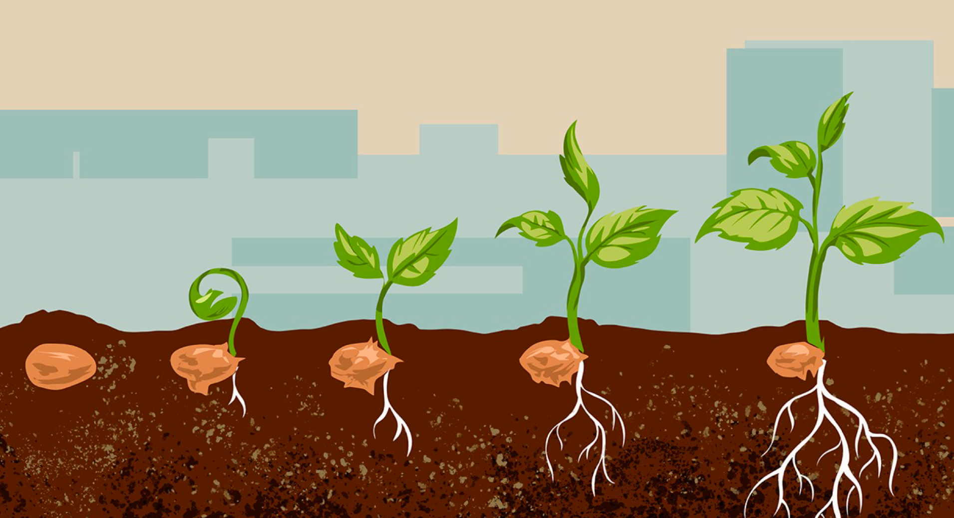 1 Corinthians #25: Resurrection: The Substance of Salvation (1 Corinthians 15:35-58)