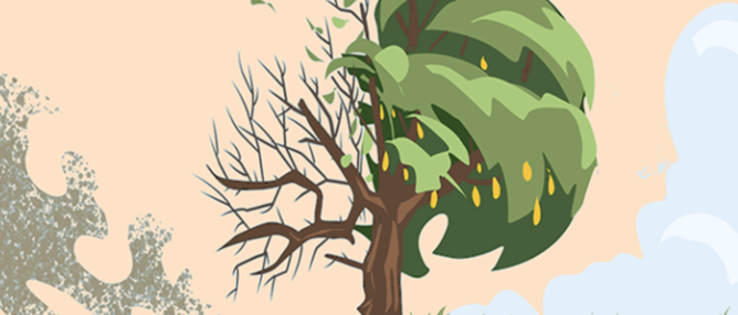 Matthew #40: The Radical Exchange (Matthew 19:27-20:16)