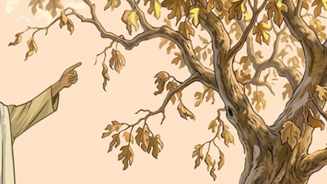 Matthew #44: A Fruitless Religion (Matthew 21:18-23)