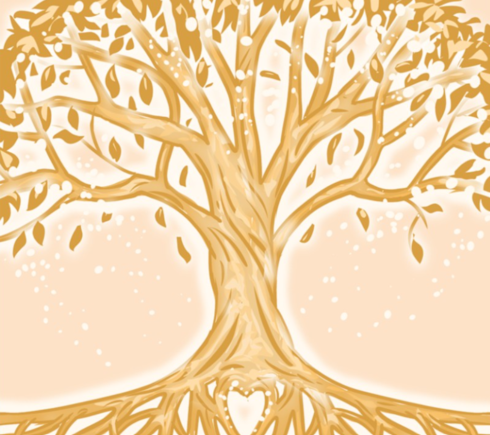 Matthew #56: Tasting The Tree Of Life (Matthew 26:17-30)