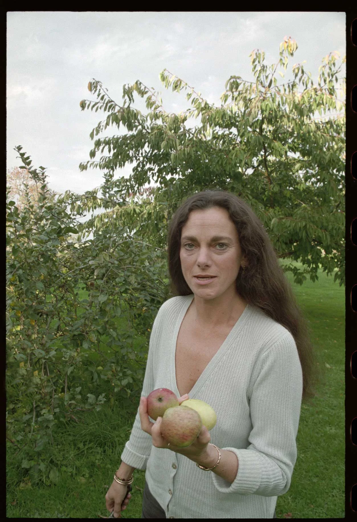 Tamasin Day Lewis