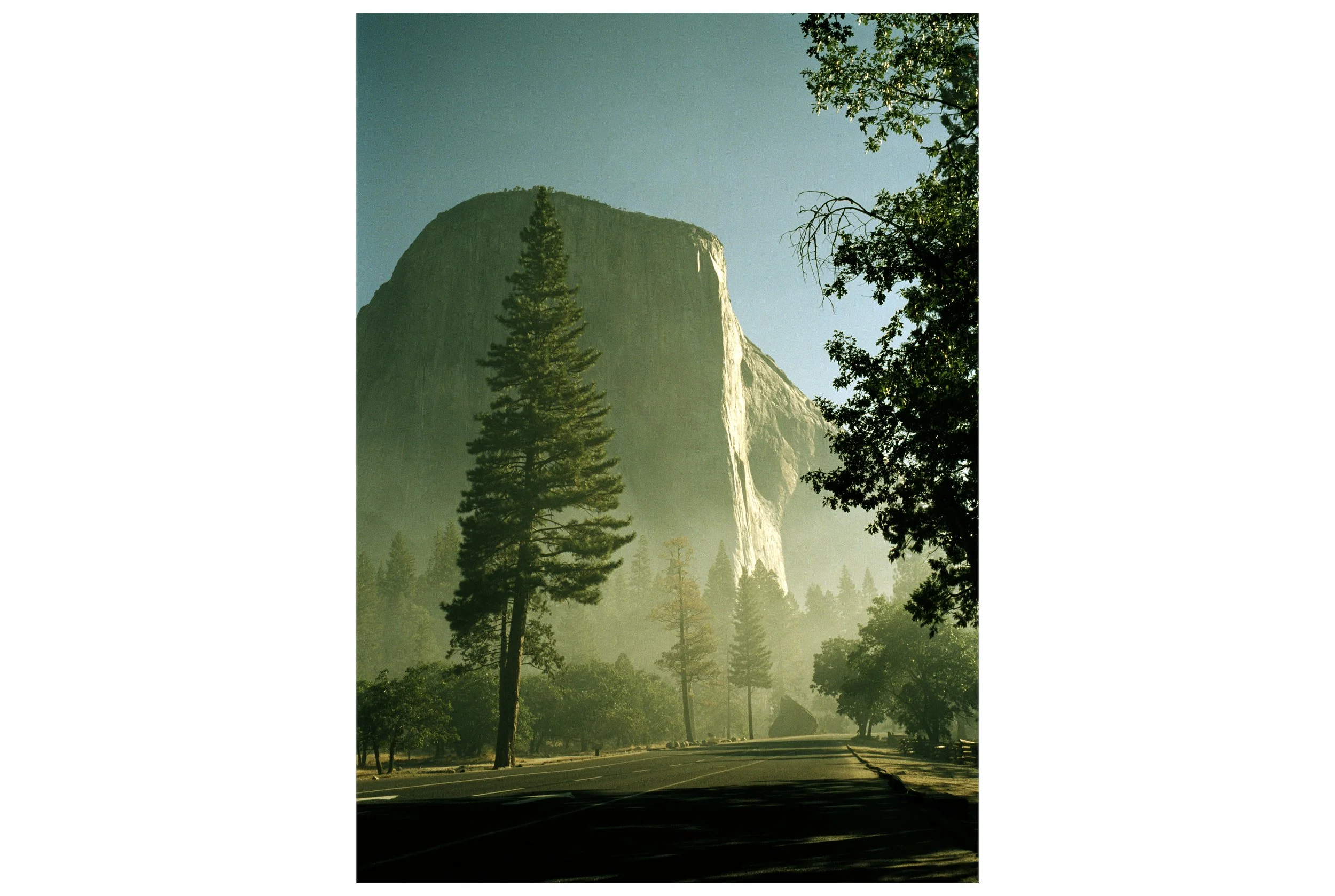 frisco_sedan.jpg