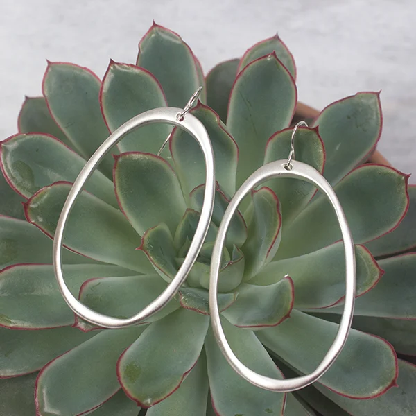 SilverHoopsOnCactus600-square.jpg