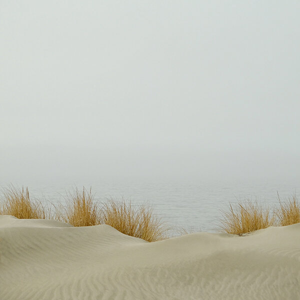 Winter Dunes