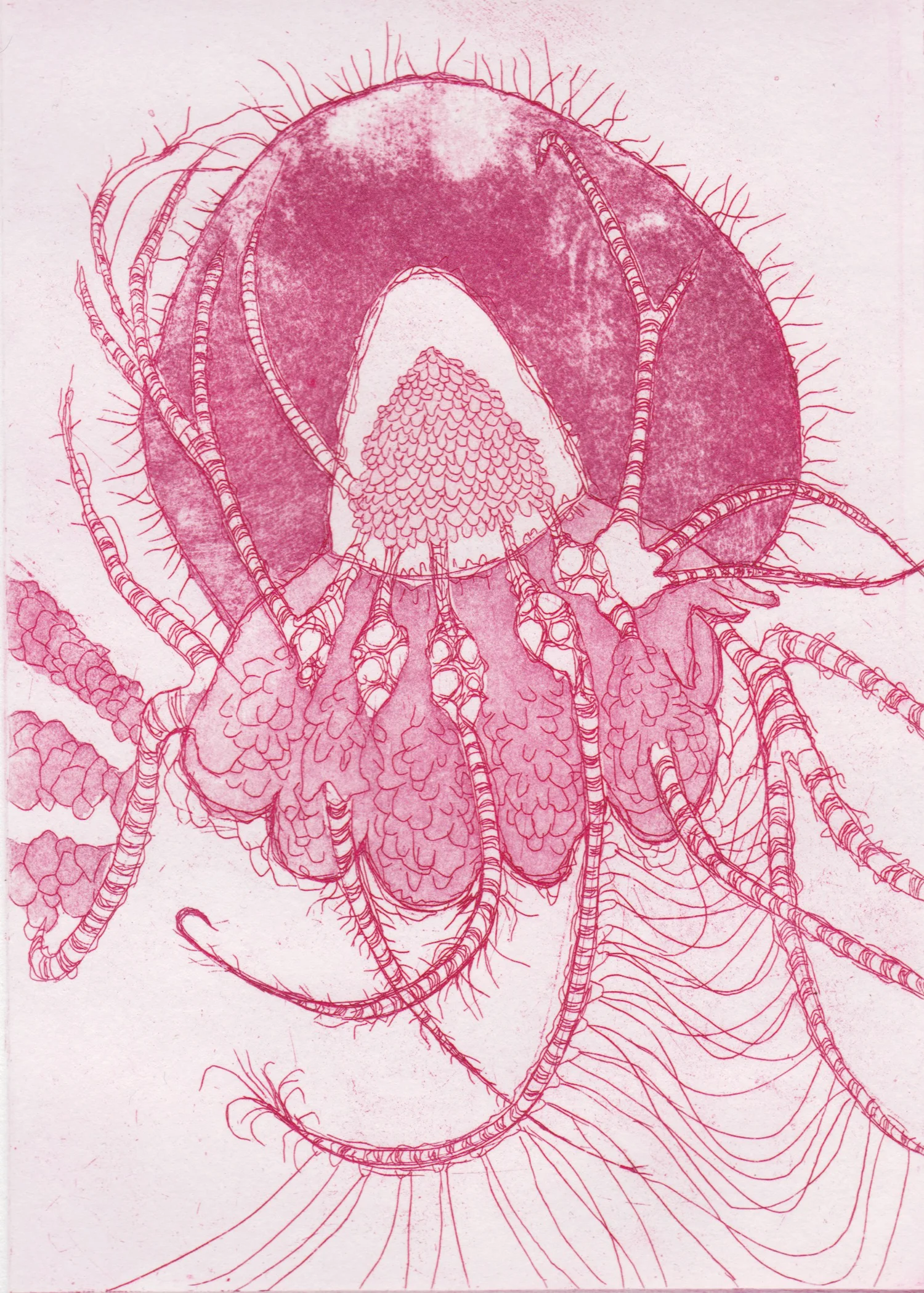 Pulsating Portal