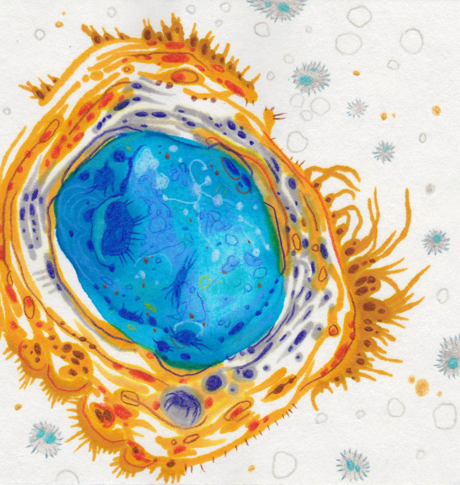Week 21: Hydrothermal Features No. 2