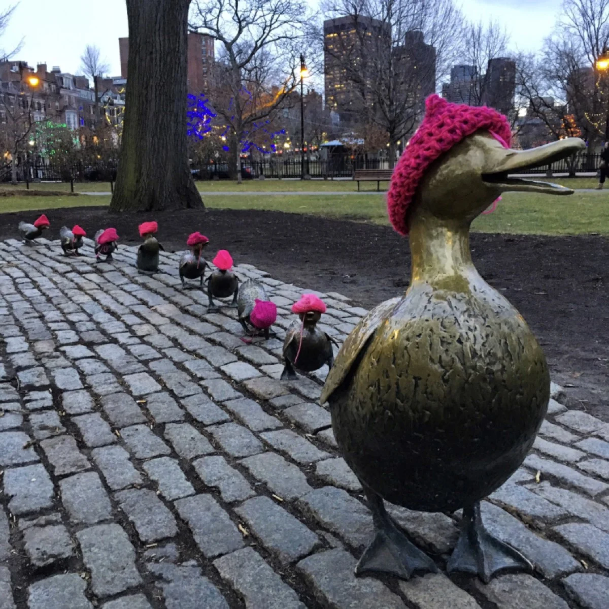 Make way for pussyhats