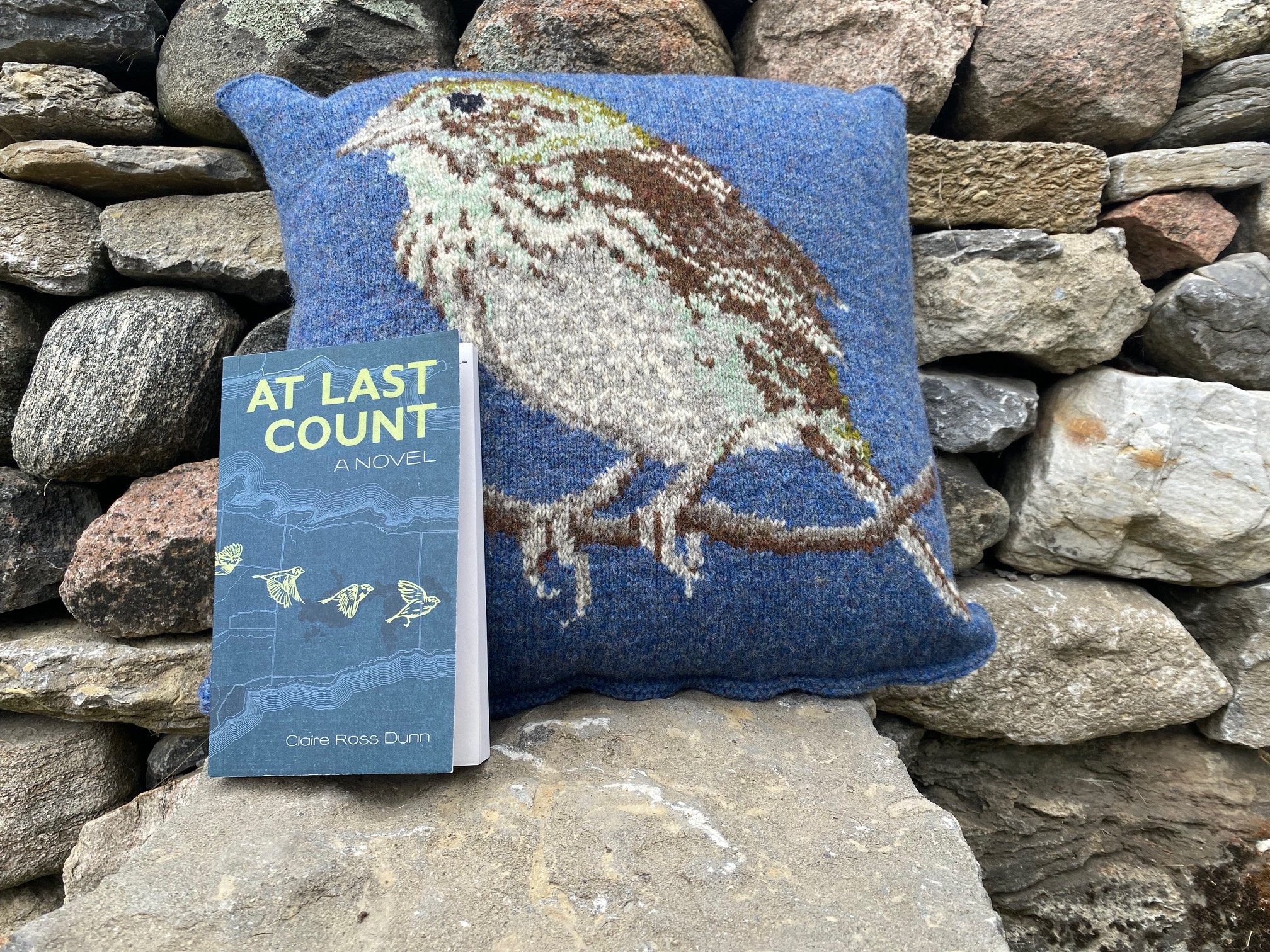 Pillow, book, stone fence cu Topsy.JPG