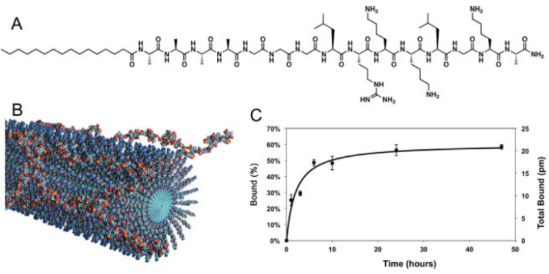 [9] Capturing the Stem Cell Paracrine Effect Using Heparin-Presenting Nanofibres to Treat Cardiovascular Disease