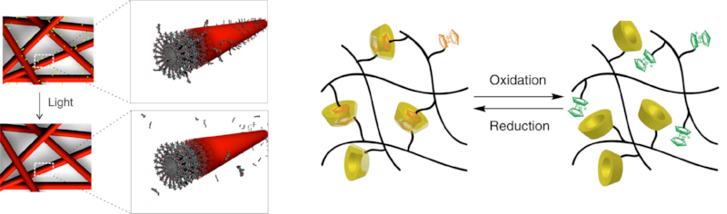 [45] Engineering Responsive Supramolecular Biomaterials: Toward Smart Therapeutics