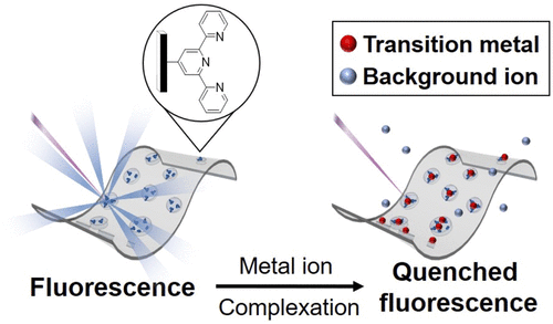 [53] High-Affinity Detection and Capture of Heavy Metal Contaminants using Block Polymer Composite Membranes