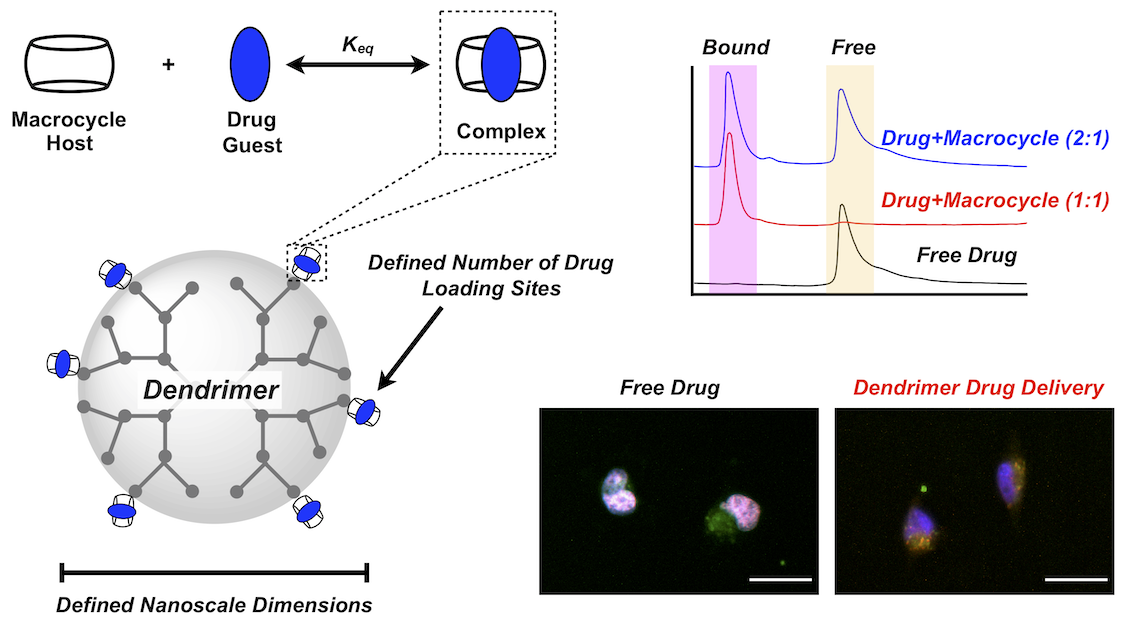 [66] Single-Molecule Nanoscale Drug Carriers with Quantitative Supramolecular Loading