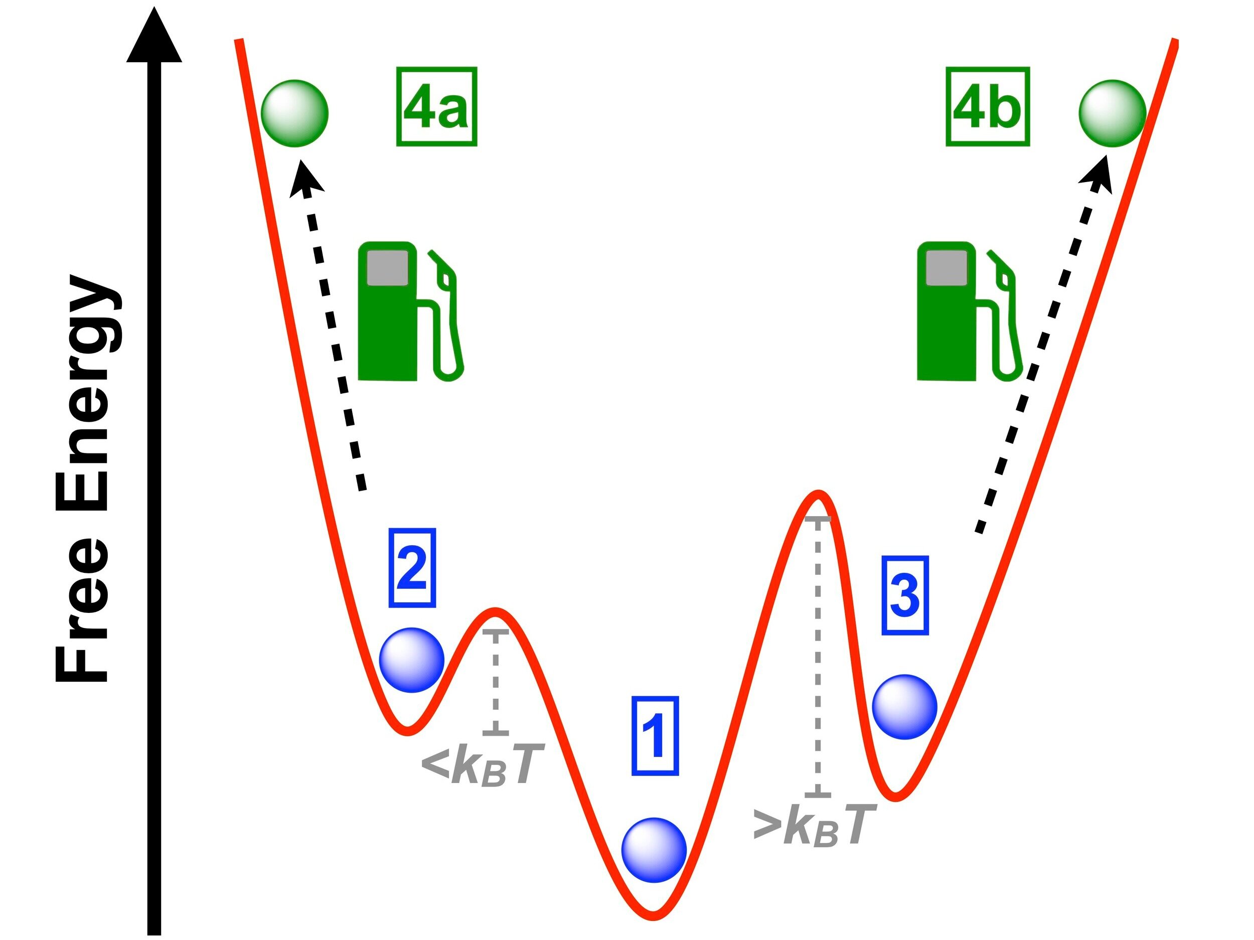 Pathways.jpg