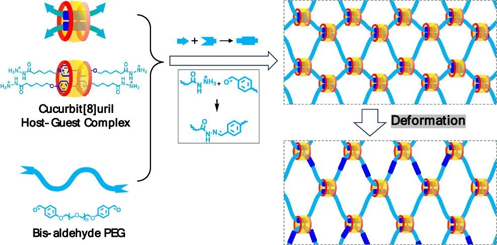 [129] Dynamic Hydrogels Using Movable Supramolecular Cores to Prepare Multiarm Macromer Analogs