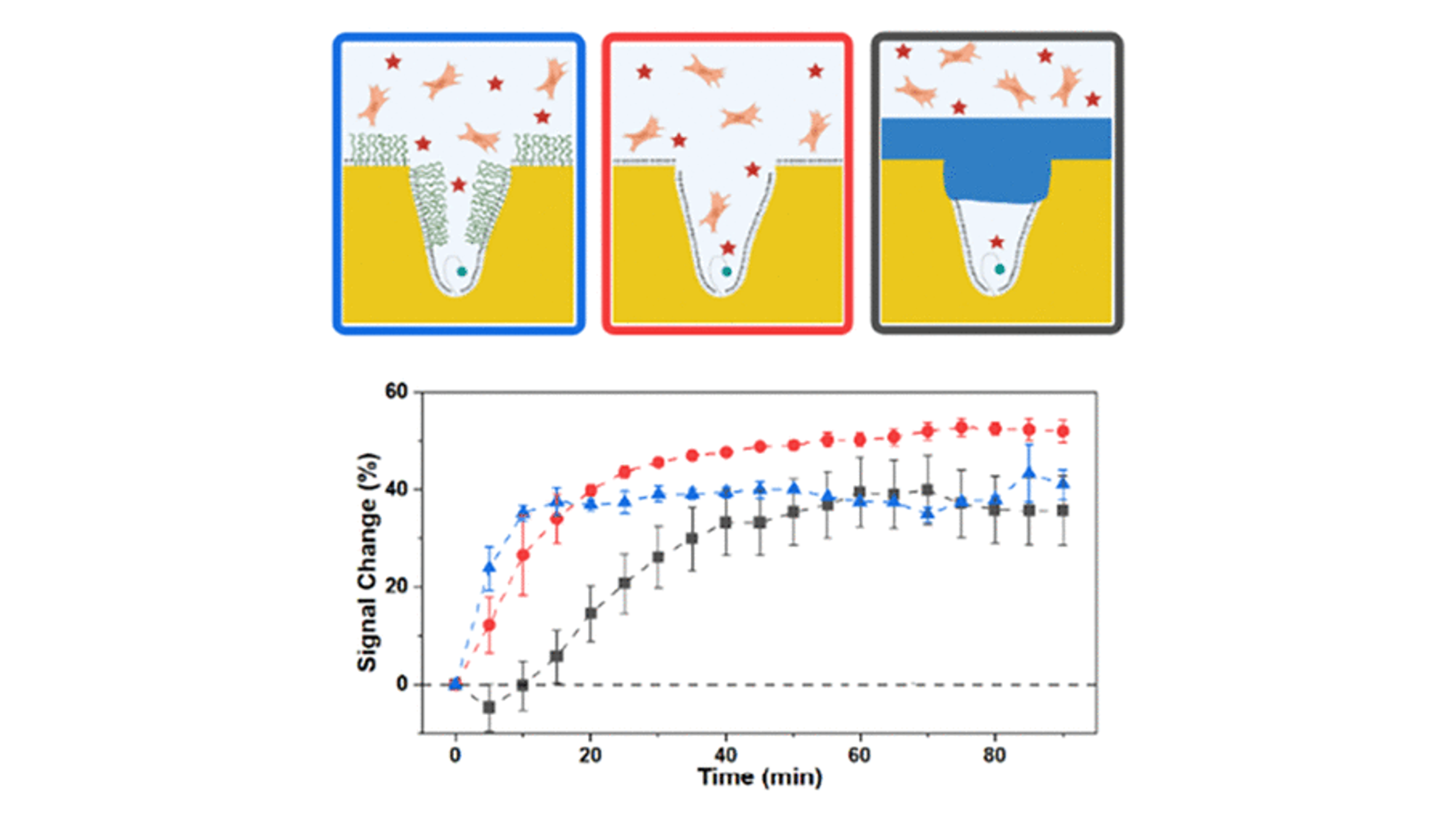 [133] Zwitterionic Polymer Brushes Inside Nanoporous Gold Electrodes Enable Fouling-Resistant Electrochemical Biosensing