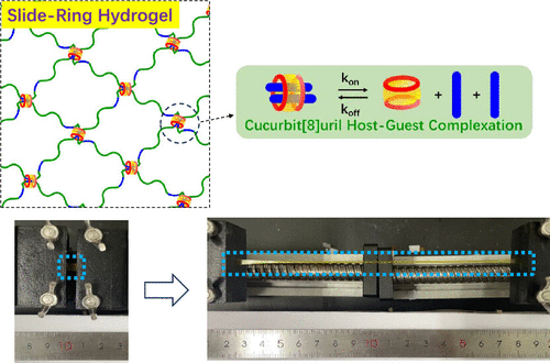 [134] Slide-Ring Hydrogel Networks via Host–Guest Complexation with Cucurbit[8]uril