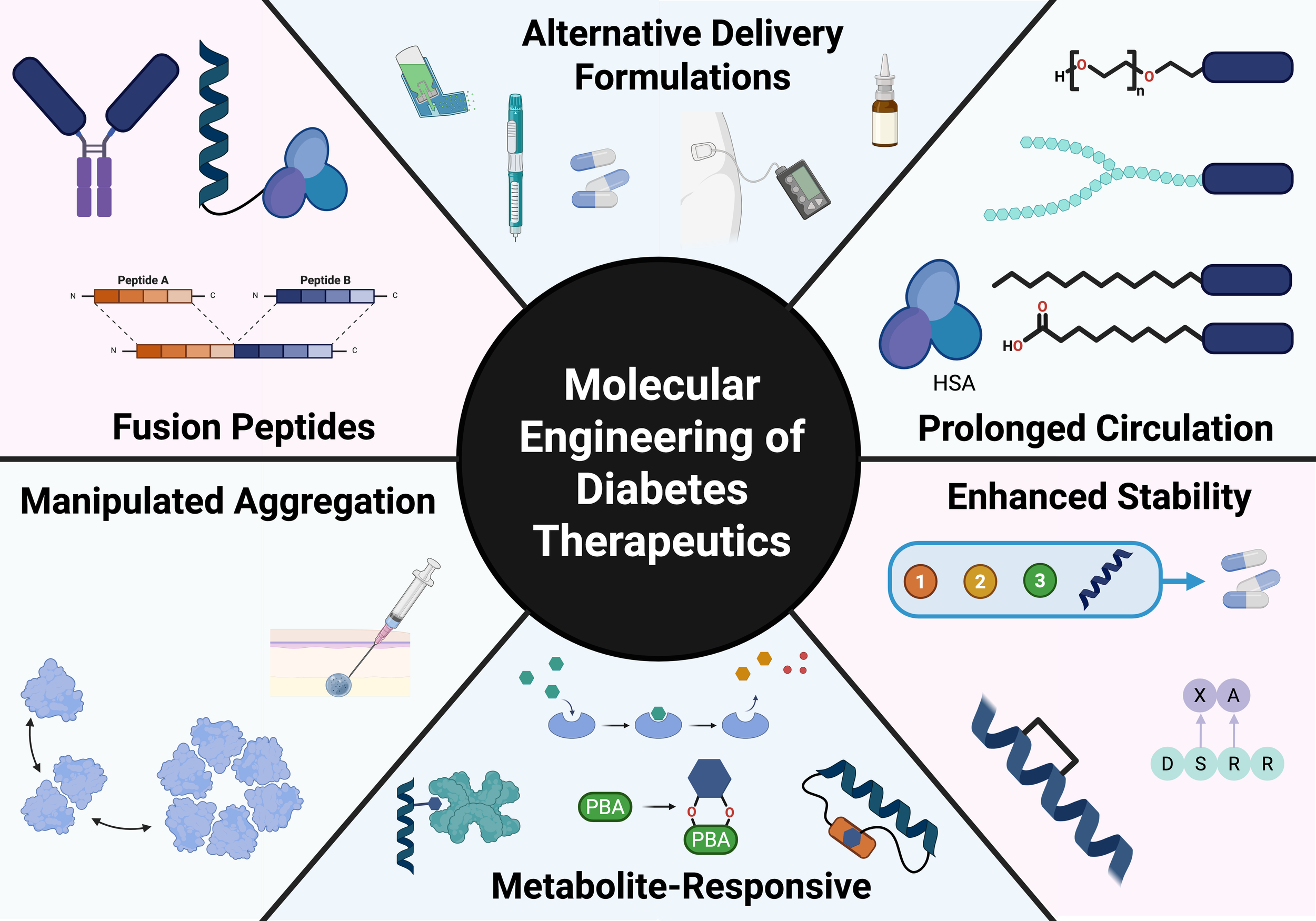 [135] Molecular Engineering of Designer Diabetes Therapeutics