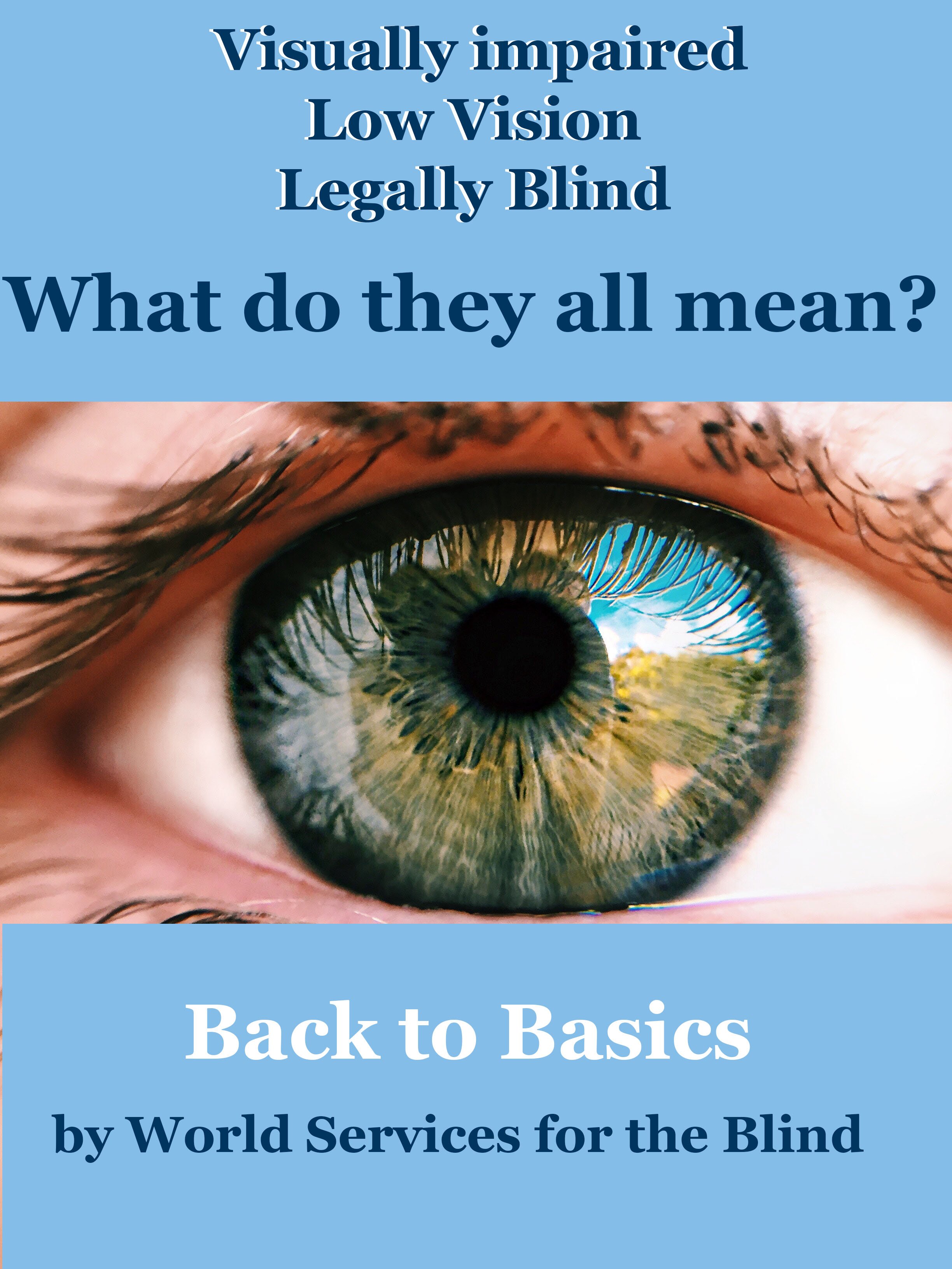 Blind vs Visually Impaired: Do you know the Difference?