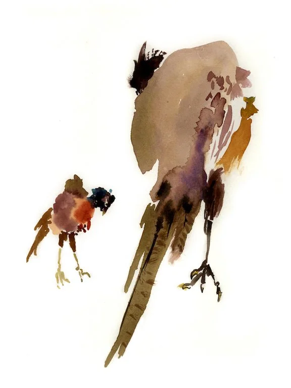 Bird5-12x16.jpg