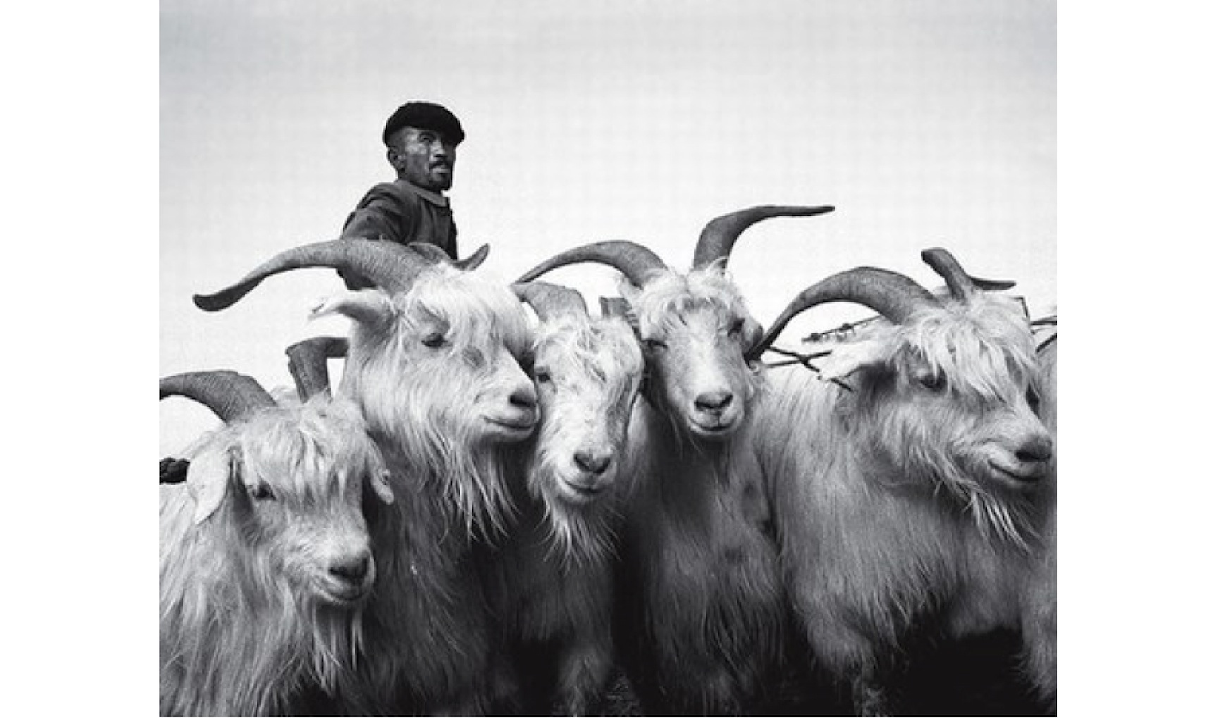 http://foggie.org/mongolia/2-Scan-120523-0026%20copy.jpg