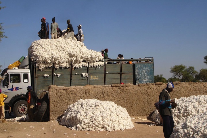 http://3.bp.blogspot.com/_sv_SOl1hq70/S8xiYbHPcZI/ AAAAAAAABvs /z-B6mdMlfuw/s1600/ mali-cotton.jpg