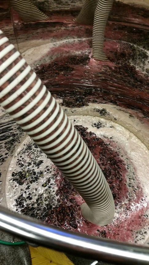 The grapes were then deposited into metal vats for fermentation.