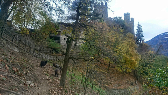 Walking the grounds of Brunnenburg Castle, now privately owned and used as an agricultural museum and philosophy school.