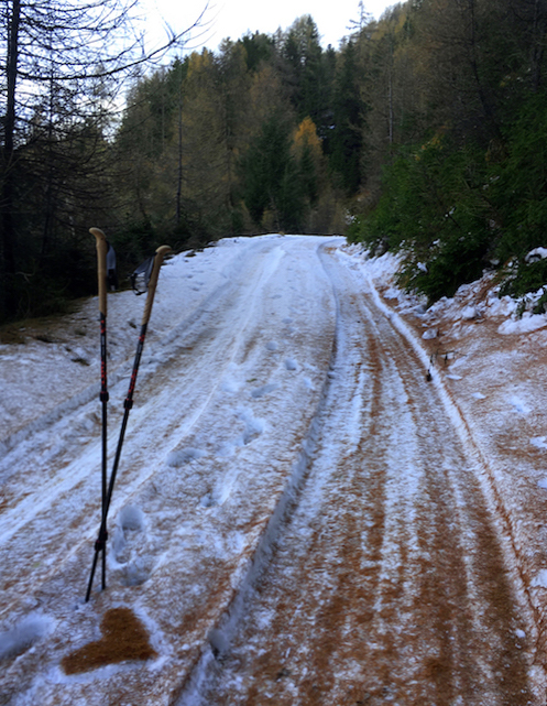 We found a road still covered with snow. A promising sign . Maren drew a heart with the pine needles to commemorate our halfway feat. Only to turn around an hour later due to the fading sunlight.