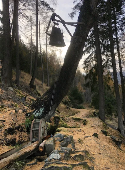 Hiking on the mountain behind the farm. This bell rings when the spring water runs through the wheel in order to inform the townspeople below. A layer of fallen needles lend a rather unusual orange tint to the forest floor.
