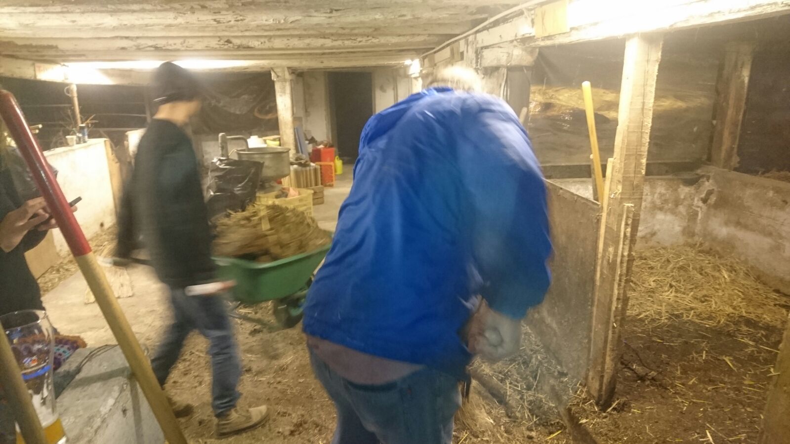 The day before: Mucking out the stable underneath the castle in preparation for the exhibition.