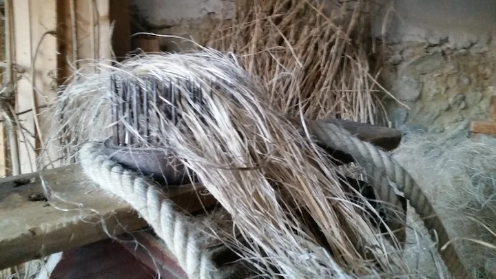 Combing the fiber with a metal mechanism resembling a porcupine.