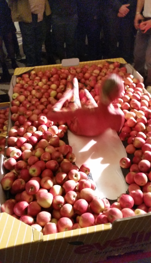 After the model was painted, she laid in a box of South Tyrolean apples....
