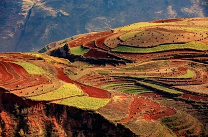 dongchuan-red-soil-colored-earth-260nw-1373743967 copy.jpg