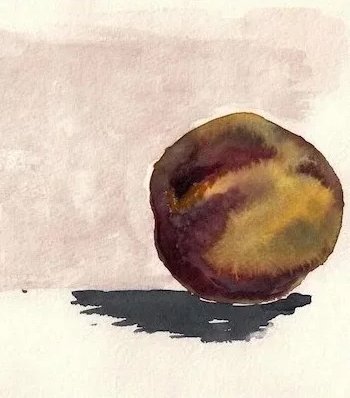 plum copy.jpg