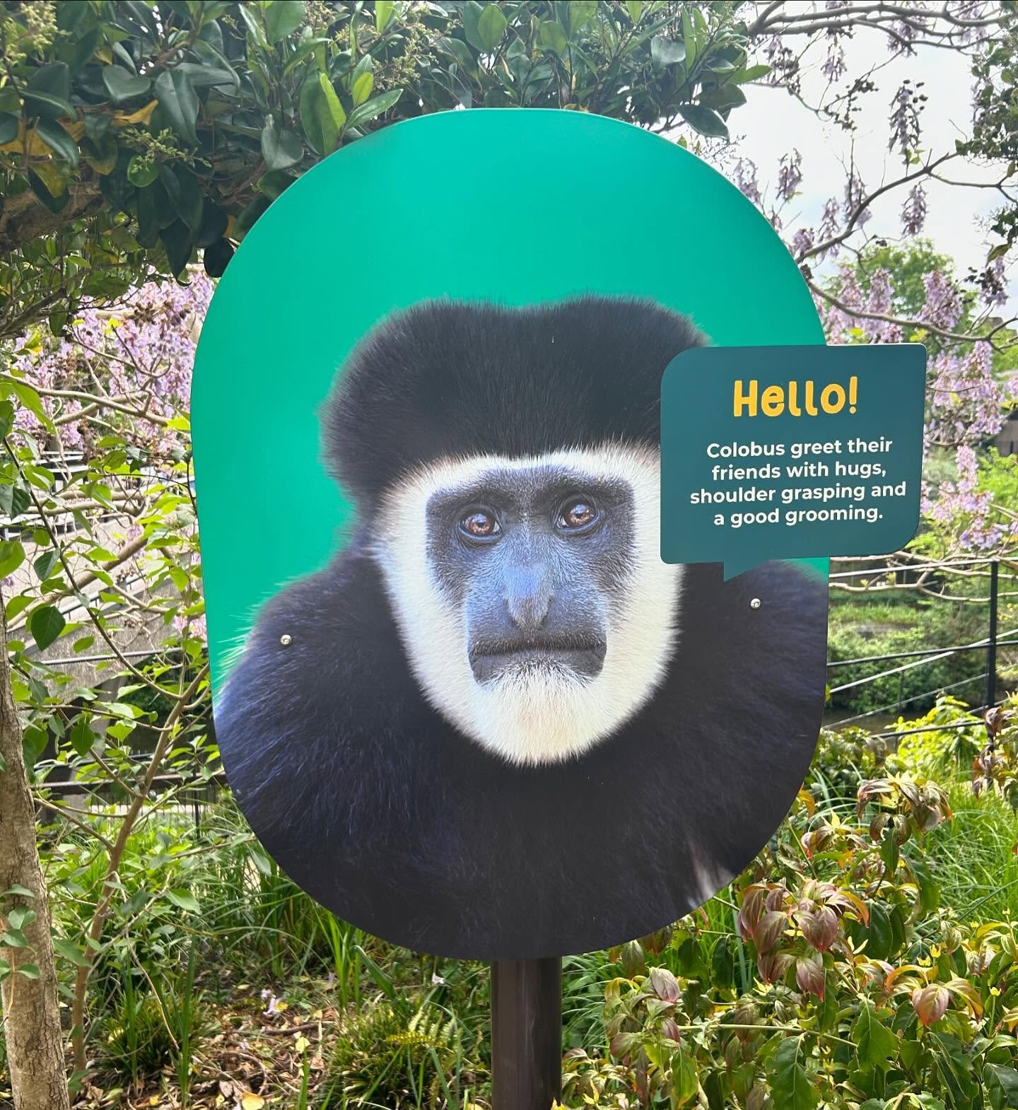 When you&rsquo;re hoping the scanner will recognise your face at passport control