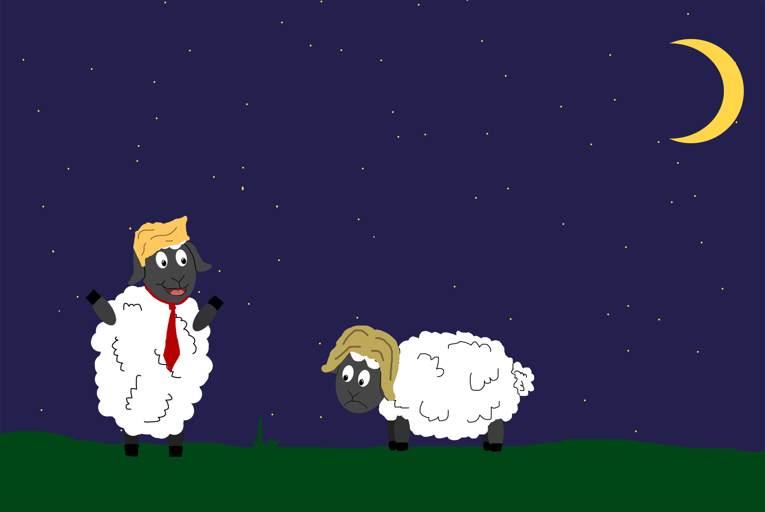 The Insomniac's Nightmare: Post Election