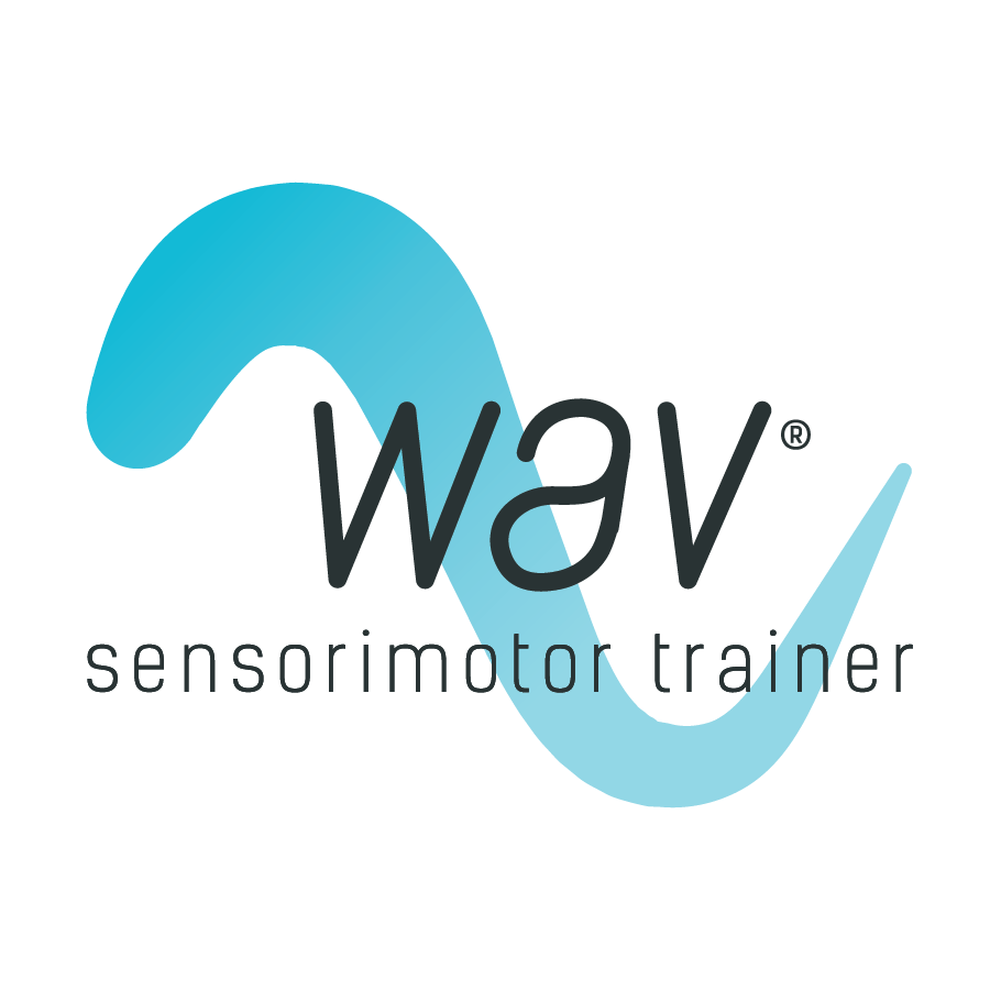 SJW Fitness Trend Series: WAV Trainer