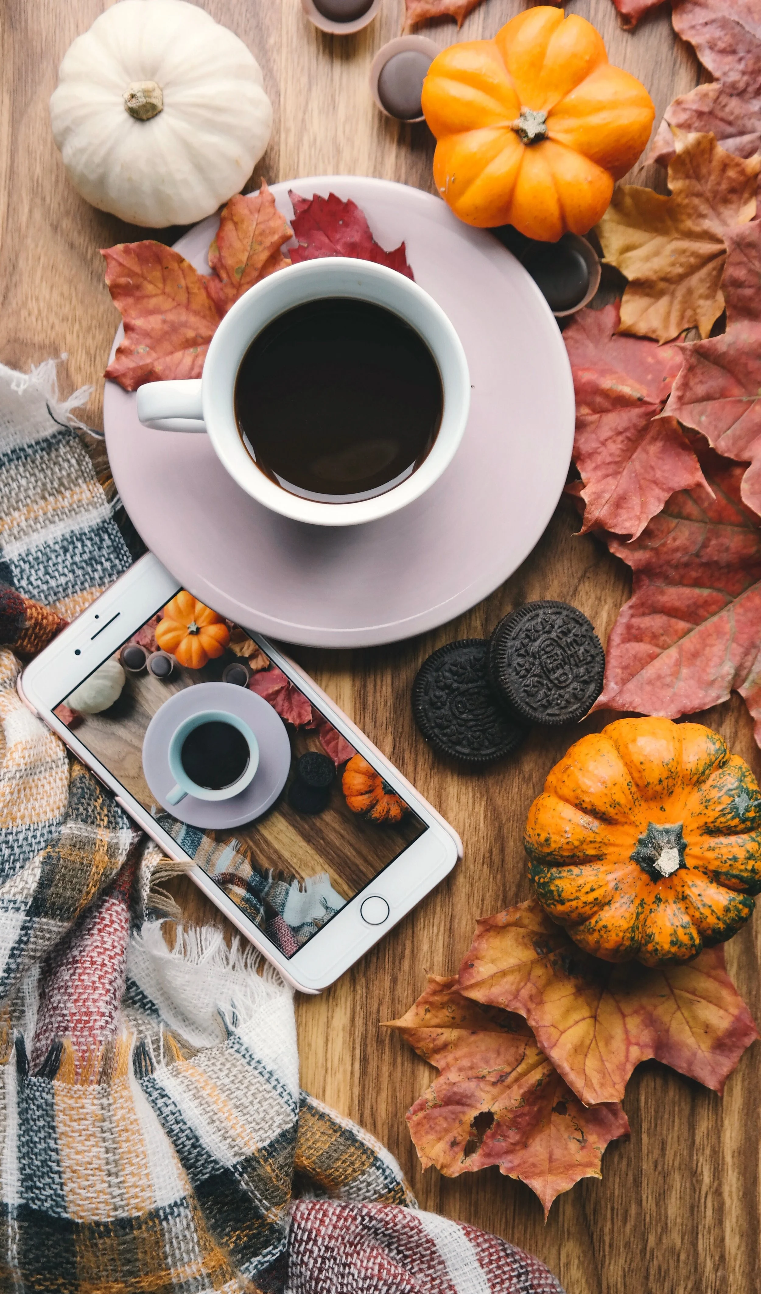 Fall Activities For Your Wellness Routine