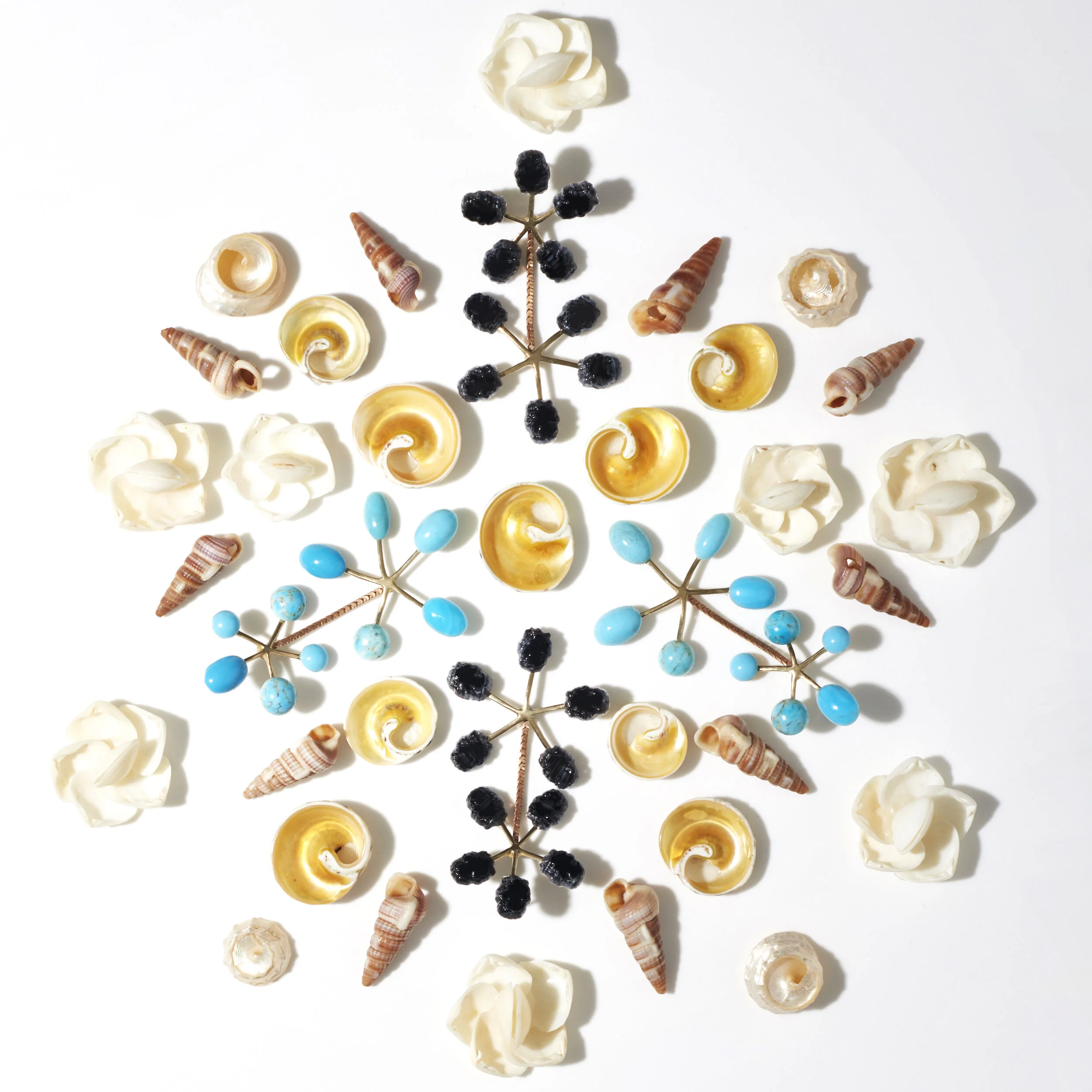 MARGATE EARRING SHELL.jpg