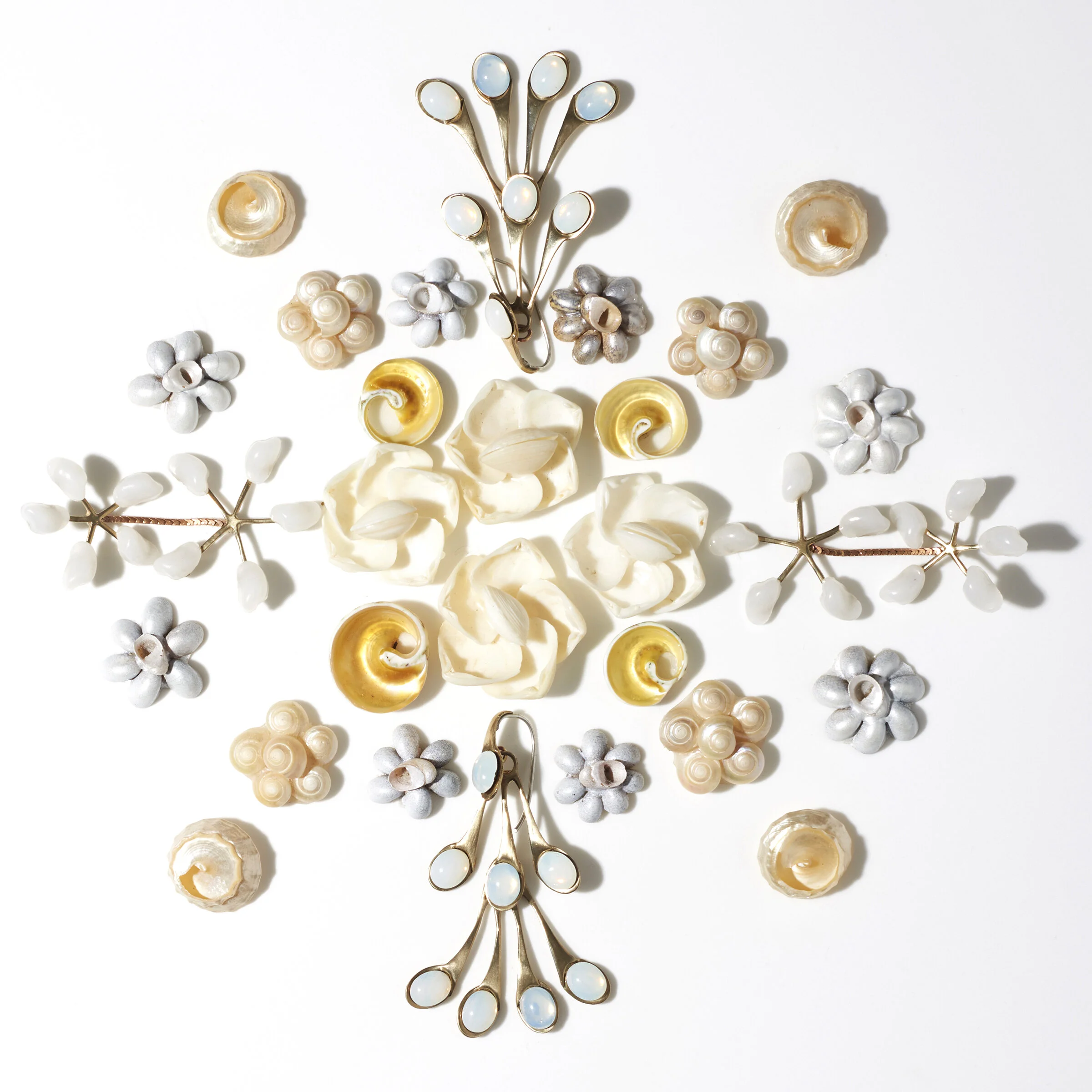 MARGATE PALACE SHELL.jpg