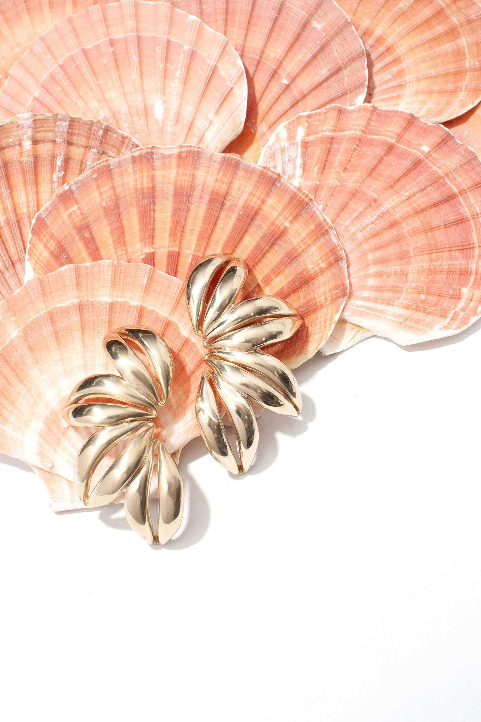 CASTLECLIFF cowrie on shell 2.jpg