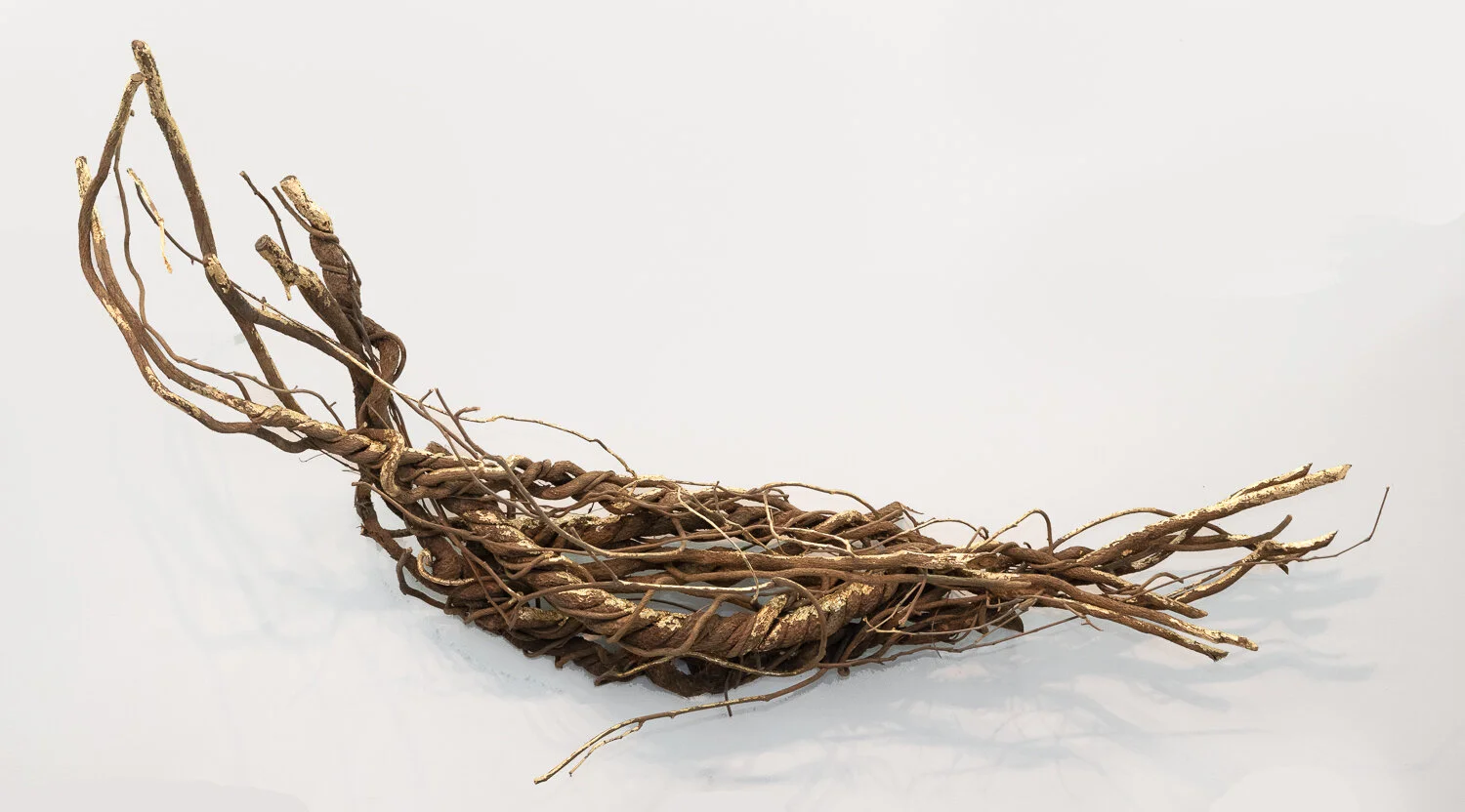 nest_001.jpg