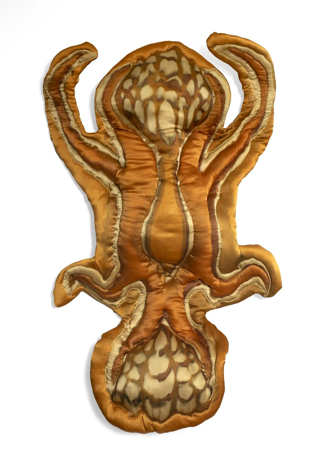 coreopsis ovules.jpg