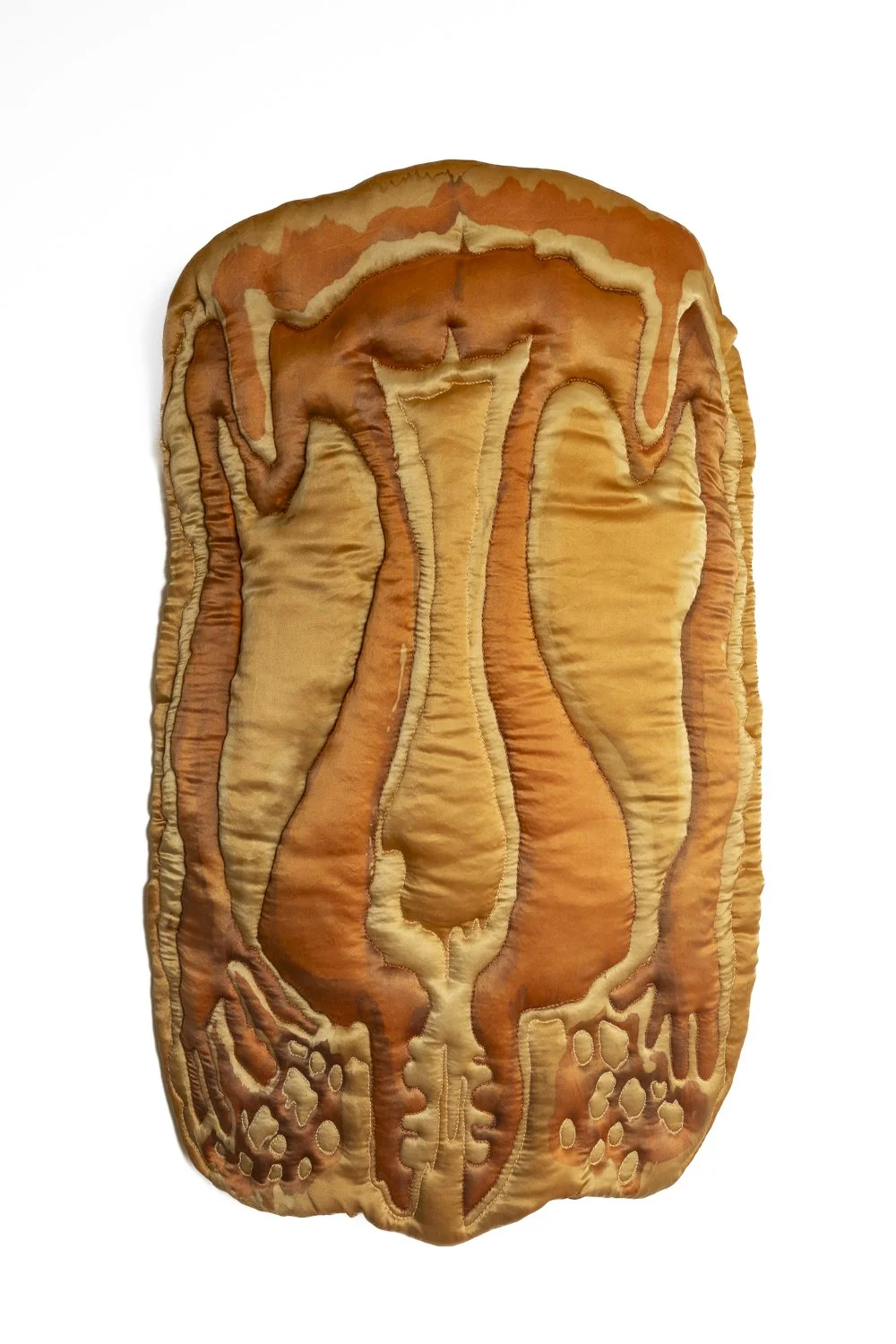 coreopsis uterus.jpg